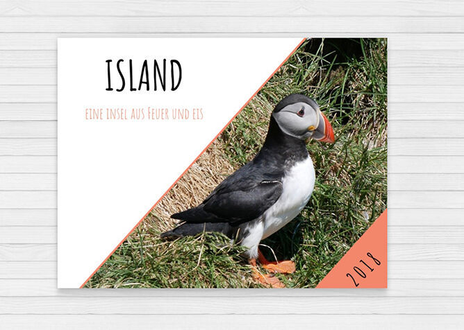 Puffin auf einer Wiese in Island.