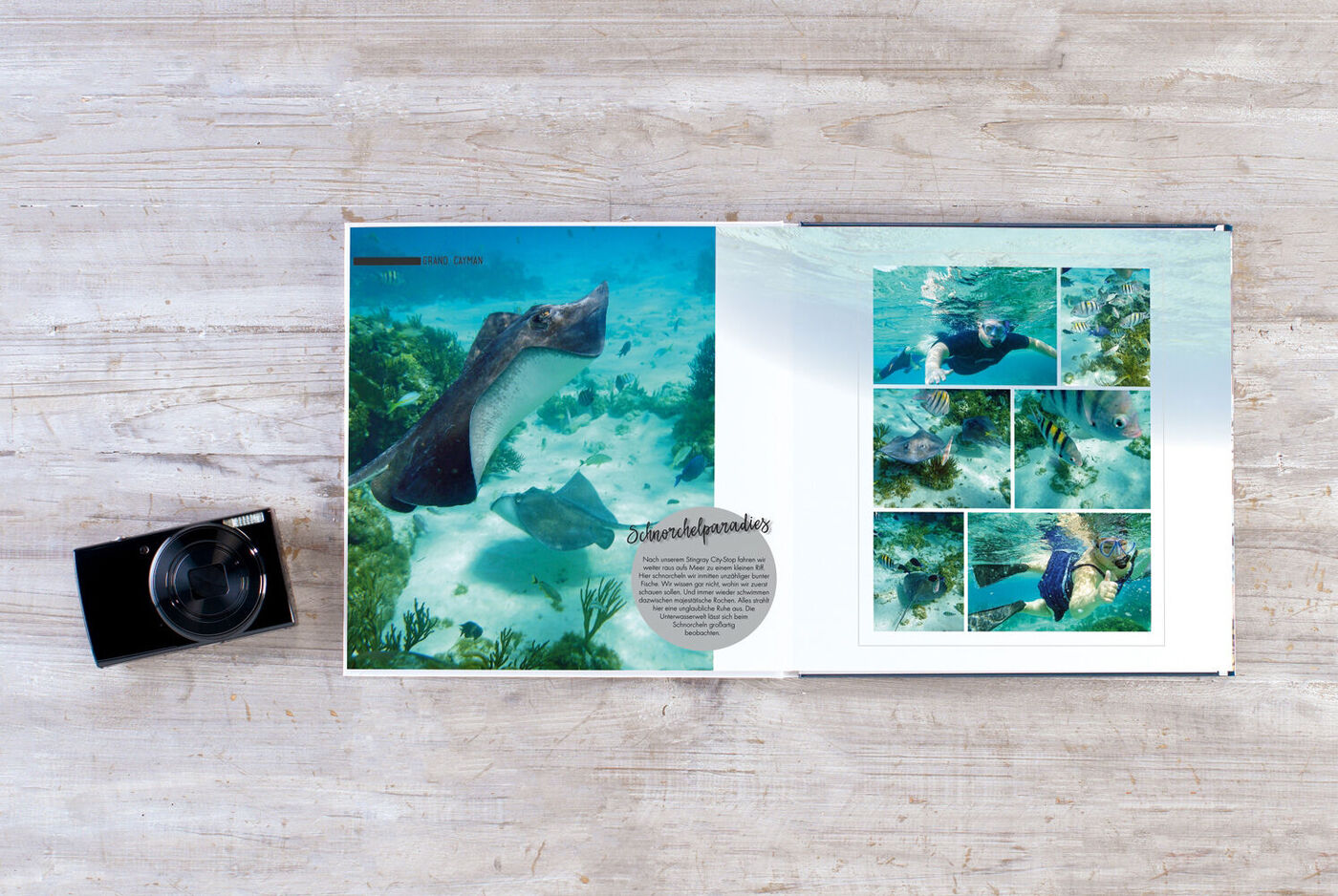 Erlebniswelt unter Wasser mit Schildkröte und Korallen im CEWE FOTOBUCH