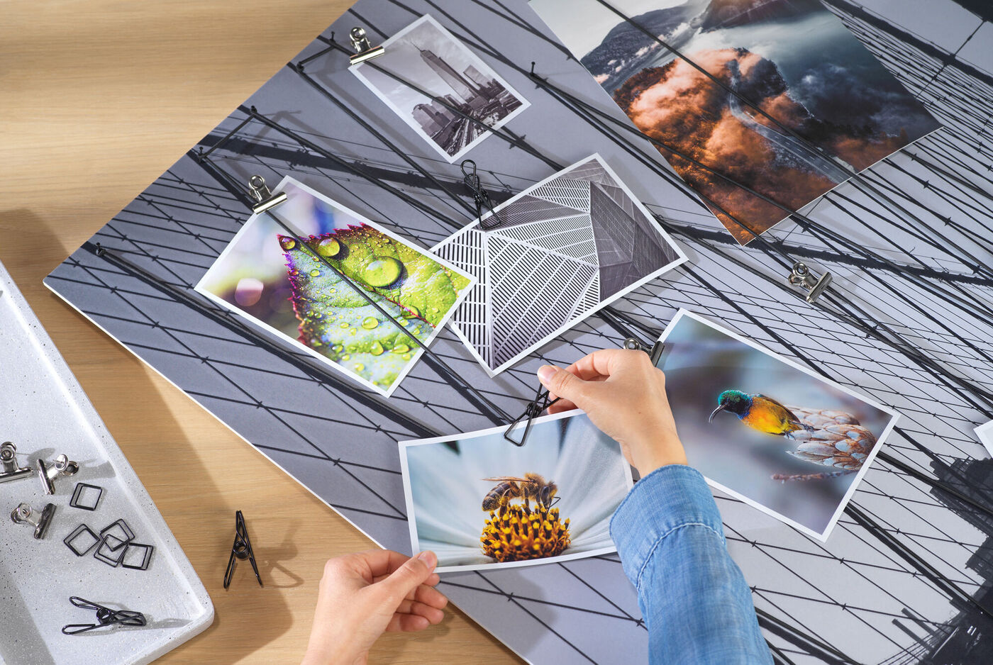 Eine Person hängt Fotos mit Klammern an ein Wanddisplay. Die Bilder zeigen verschiedene Landschaften und Naturdetails. Die Umgebung ist modern und kreativ gestaltet.